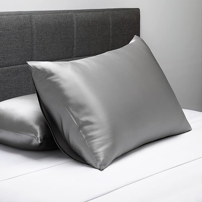 Fishers Finery 19mm 100% Pure Mulberry Silk Pillowcase, Quality Tested (Silver, K)