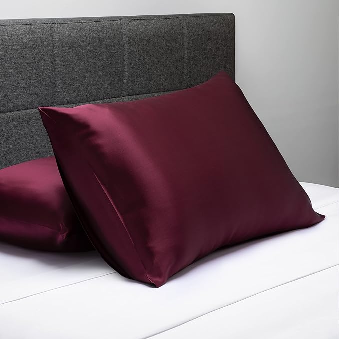 Fishers Finery 25mm 100% Pure Mulberry Silk Pillowcase (Red Standard)